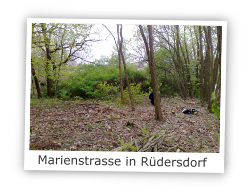 Marienstasse in 15562 Rdersdorf 