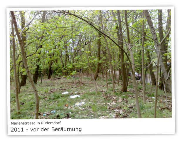 Marienstrasse in 15562 Rdersdorf 2011 - vor der Berumung