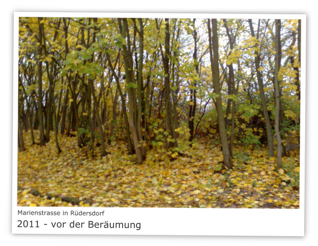 Marienstrasse in 15562 Rdersdorf 2011 - vor der Berumung