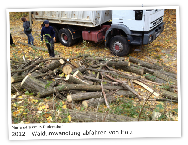 Marienstrasse in 15562 Rdersdorf 2012 - Waldumwandlung abfahren von Holz